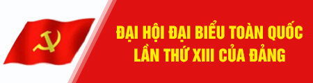 Đại hội Đảng Lần thứ XIII